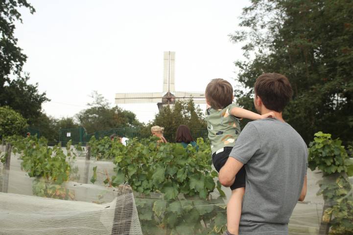 Visite de la vigne